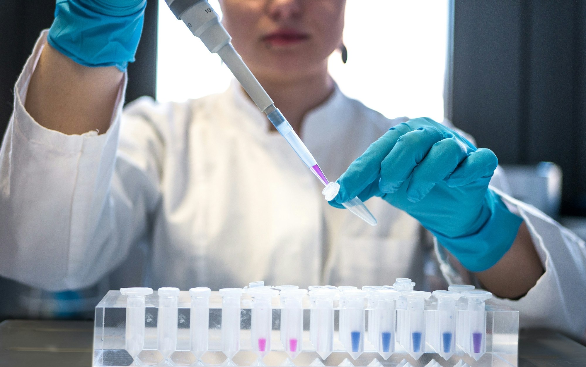 A scientist pipetting samples in a genetics laboratory